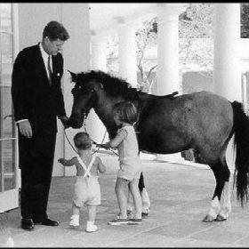 FirstPets_'s profile picture. 