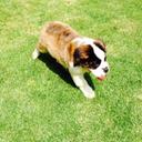 Silvia Valdés - @SilviaValds - Twitter