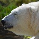 Daniel Bartholomew - @trumpetdan10 - Twitter