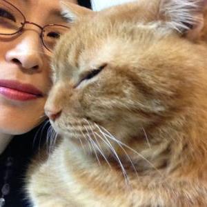 maakorin's profile picture. 空と猫と音楽が好き♪ 写真は、空や月、風景や花をコンデジで撮っています。動物は特に猫（現在は、猫のいない生活です）。