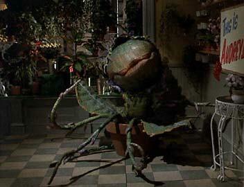 Alien_Plant's profile picture. Just a mean green mother fucker from outer space! I'm bad, and I'm gonna eatcha! |#RP account, #LSOHRP|