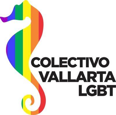 Organización en pro de los derechos de la población lgbt de puerto vallarta jalisco