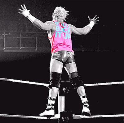 Noticias,fotos de la WWE y otra lucha libre Costa Rican WWE fan    Bella twins and Paige*____*,follow me yesssss