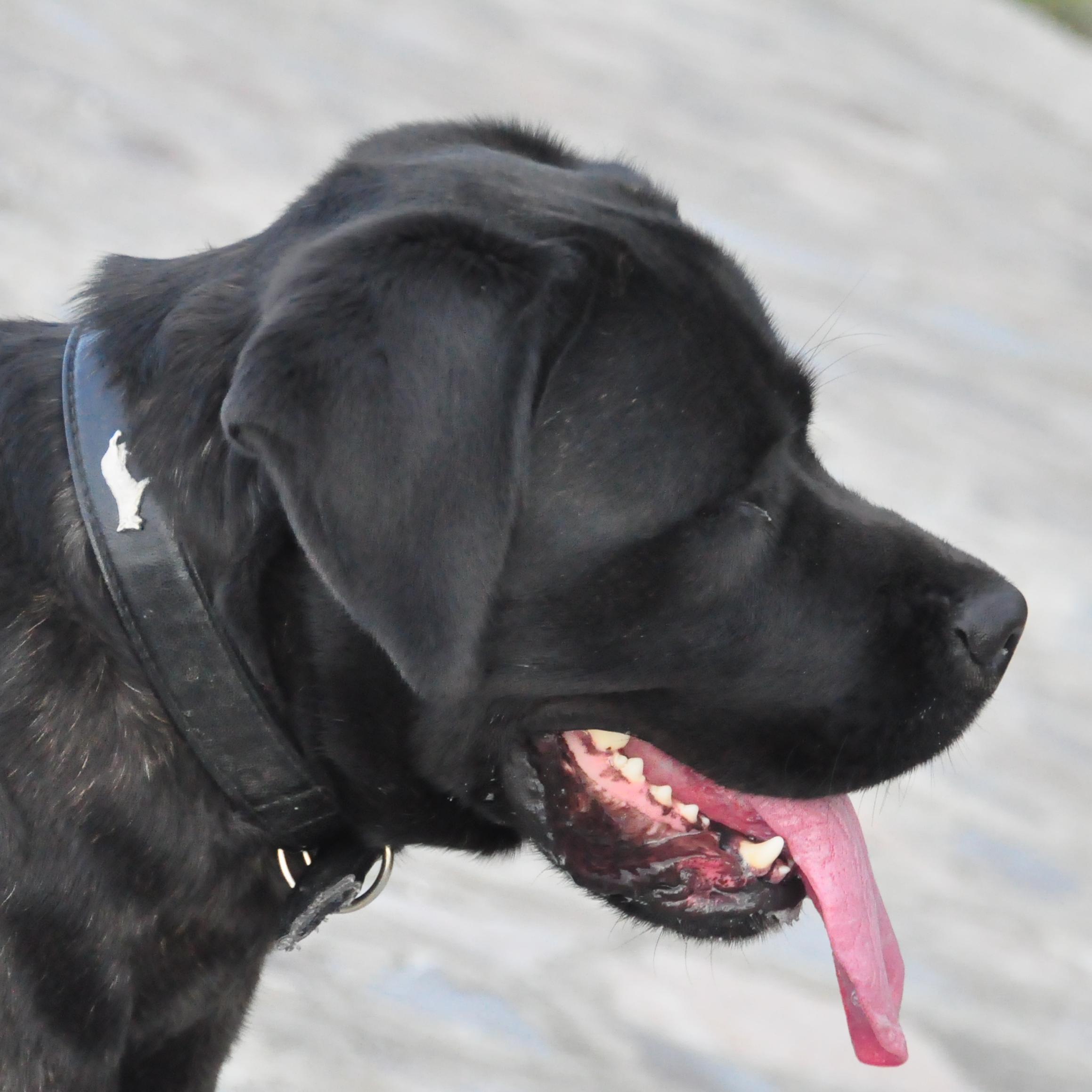 Csury71Zsolt's profile picture. 