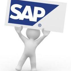 SAP FICO Online Training by real time experts. Professional level SAP FICO online training available along with SAP server access at economy fee structure.