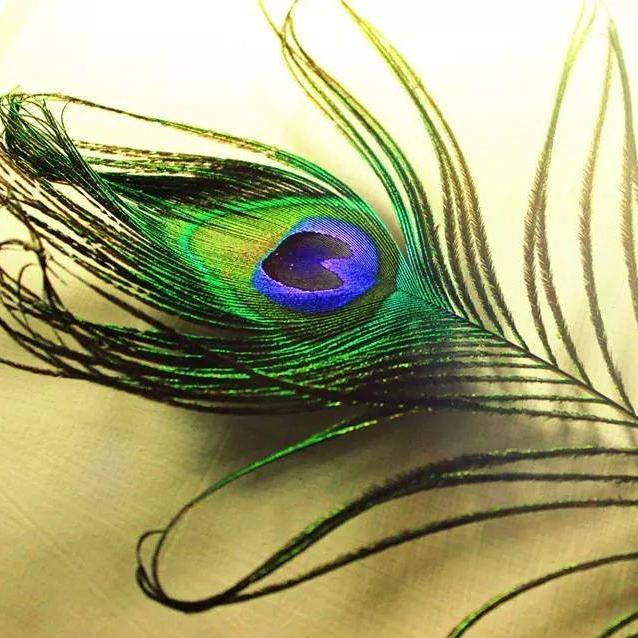 SakthiTalks Profile Picture