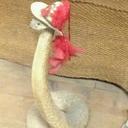 Gary Lott - @GaryLott12 - Twitter