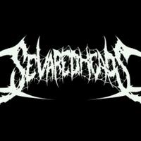 SEVERED HEADS (@severedheads_) 's Twitter Profile
