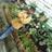 madhavmady1's profile image
