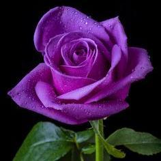 wazirkhan916's profile picture. 