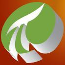 Web Development Company