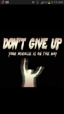 risinggreenphoe's profile picture. 🐶 🐕 mom   🛑 NO DM