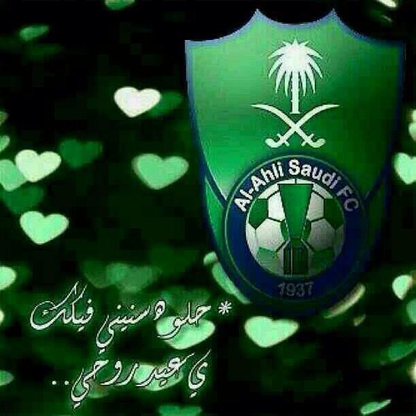 HanAhmed25 Profile Picture