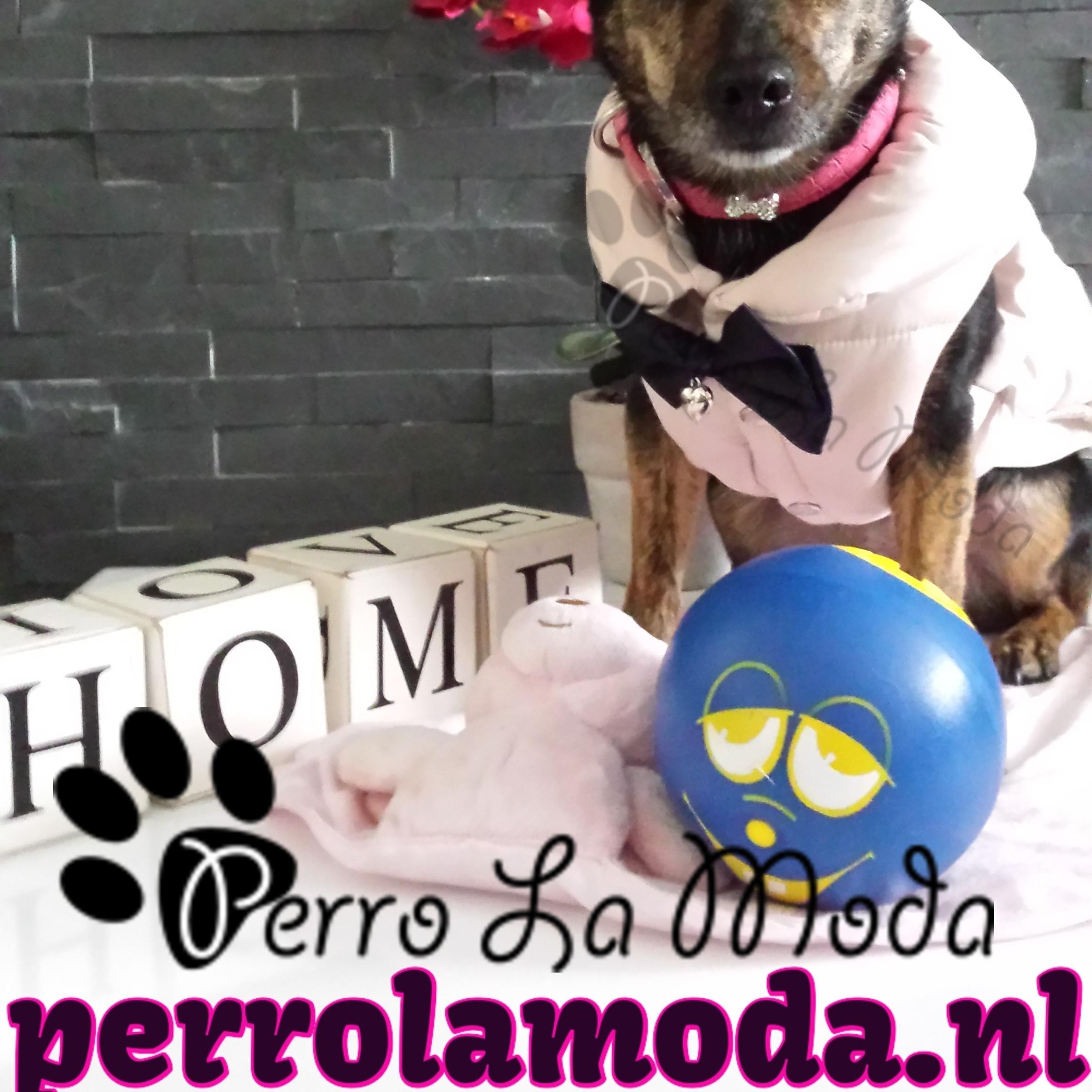 Perro la Moda is een hondenspeciaalzaak, hier vind je o.a. de laatste trends op het gebied van honden mode. - Perro la Moda is a fashion shop for dogs