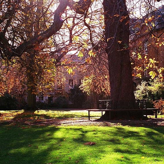 BalliolEnglish Profile Picture