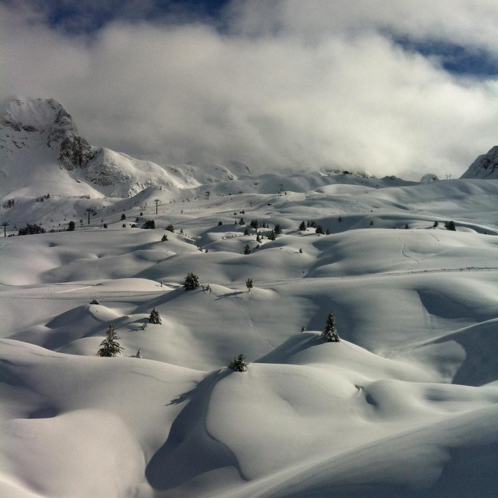 NIKOVONCHOUGUE's profile picture. Ide libéral. Ni complotiste Ni extrême Ni ultra . Juste très empathique et observateur