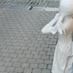 Galerie Rive Gauche (@rivegauchenamur) Twitter profile photo