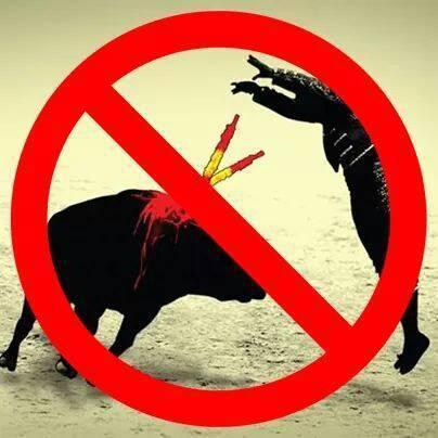 #aboliciontorosSI #STOPtorodelaVega #animals #torossitorerosno #animalrigths #corridasbasta #anipals #latorturanoescultura #stopbullfighting