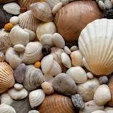 MaisonLocker's profile picture. Amoureuse de la Bretagne et du Golfe du Morbihan