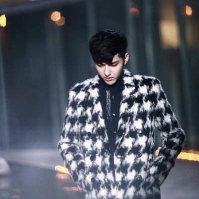 Roleplayer of Wu Yi Fan . Actor and Singer ©1990