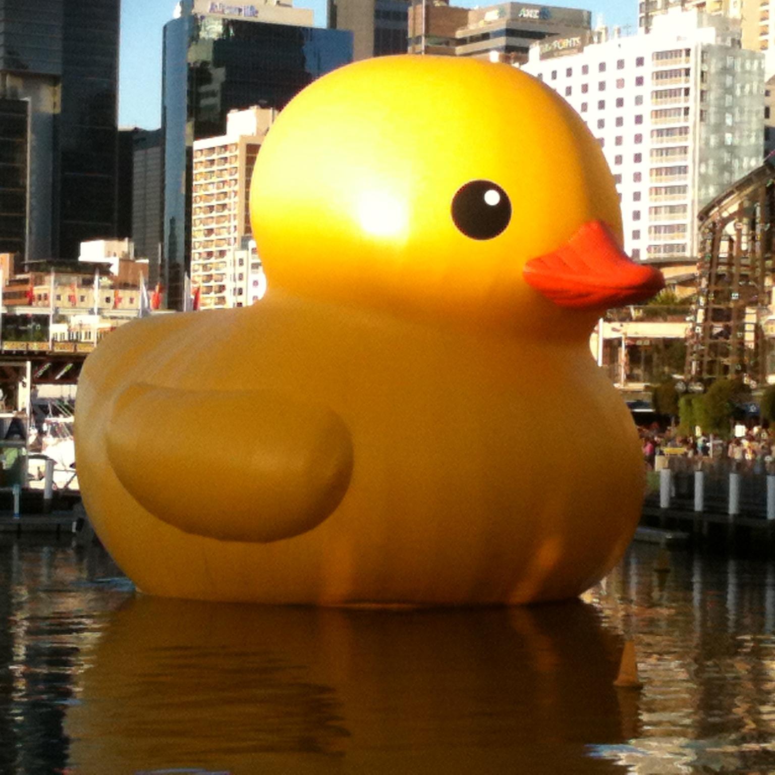 kaklesKerr's profile picture. 