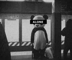 Just Follow Me ❤