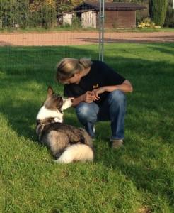 Hundeschule, Hundeverhaltenstherapie