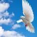 فروووحة عمان (@0f0034cb30f8413) Twitter profile photo فروووحة عمان (@0f0034cb30f8413) Twitter profile photo