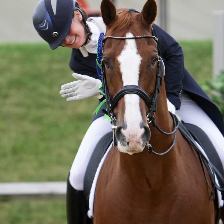 Rachael Clark is a dressage rider and coach. Elmtree Dressage offers competition livery, schooling and clinics.           Sponsored by Elmtree Equestrian Arenas