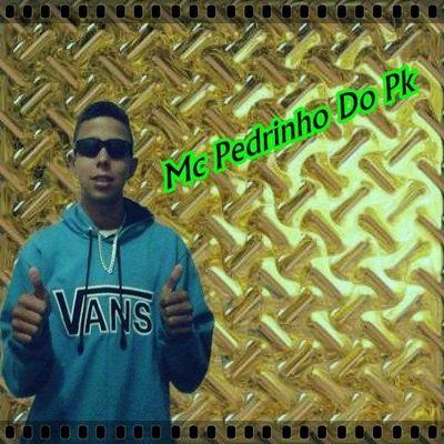 Mc Pedrinho Do Pk Musico/Banda Whatsapp: (12) 9 96617187