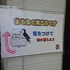 漫画の原画展に出没。'20年「#たま（バンド）」ファンになる。numbergirl再結成ライブ行けた。小谷美紗子、中村一義。労組活動にドラッカー「非営利組織の経営」やワークショップ手法を取り入れたい。「気の利いた物言い」は思想信条党派に拘らずRT。サッカーまちづくり関係は@12_uva、22/11/29～委員長