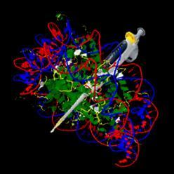 biochemiablog's profile picture. Blog de divulgación científica.