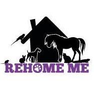 Rehome_Me's profile image