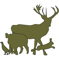 chassechasseur's profile picture. Site d'annonces gratuites pour les amoureux et les passionnés de la chasse en France