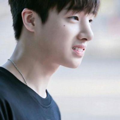 annyeong Kim Jin Hwan imnida || iKON's kidd Vocalist and Oldest Member with his crazy Dancing Skill || 94L || #YGBOSS #YGUnited #SINOSIJAK #YSRP #VampYaoi