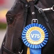 aktaodds's profile picture. Äkta odds för alla Svenska  trav tävlingar och banor gratis via twitter