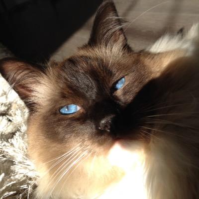 l_nemar's profile picture. 