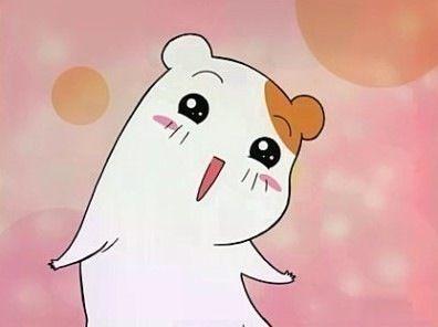 ~과늠과늠별통계정/존잘님스토커/미생~