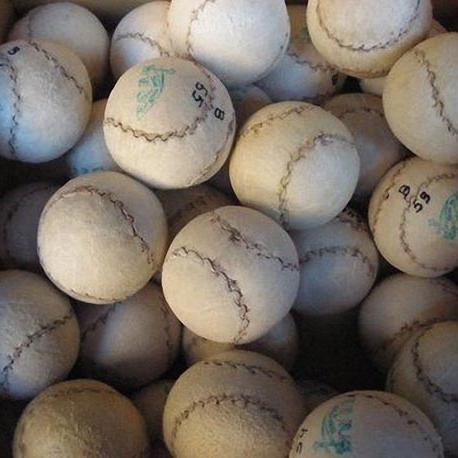 Toda la información sobre pelota en la red.