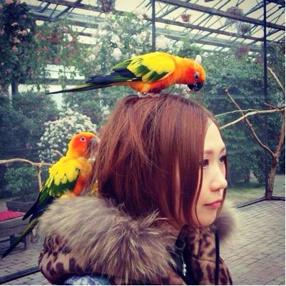 Myu0790's profile picture. ママ、ときどき、DJ。 主にテクノ（ハウス寄り）などを好む。SUZURI始めました　 https://t.co/NOpZFELrXC