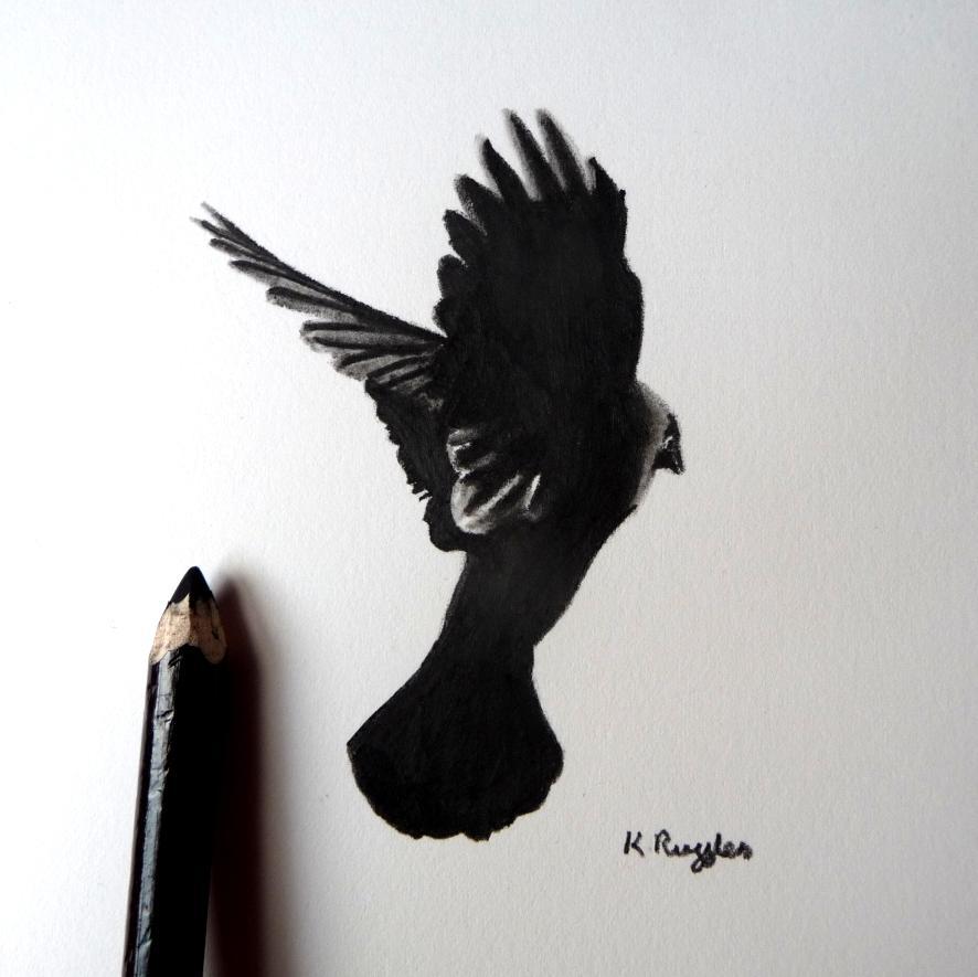 Charcoal pencil artist - gothic, wildlife and landscapes. Commissions welcome.