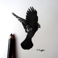 Karen Ruffles | charcoal art(@DrawingInDark) 's Twitter Profile Photo