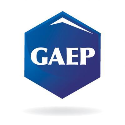 GAEP is the appointed Exclusive Sales and Service representative of Nordson in the Middle East and West African Region and exclusive distributor for Domino
