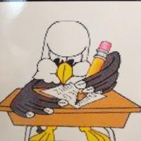Holabird STEM (@holabirdstem) 's Twitter Profile