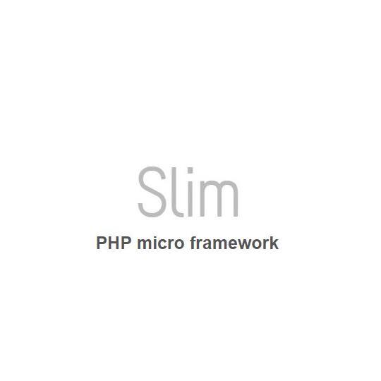 Programador web PHP Slim/Yii frameworks + RedBeanPHP ORM + Bootstrap CSS = rápido y buenísimo.