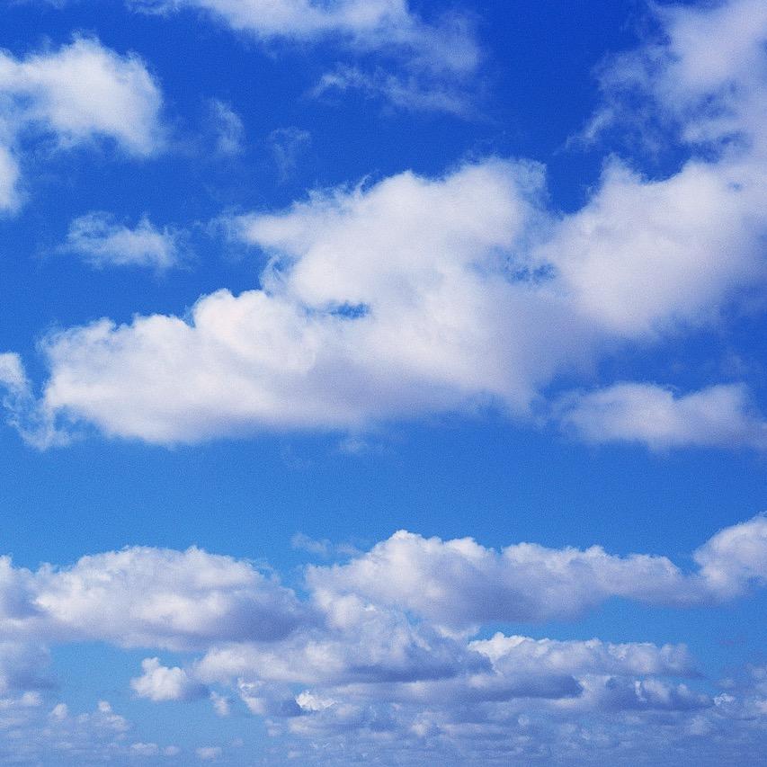 derek_burley's profile picture. 