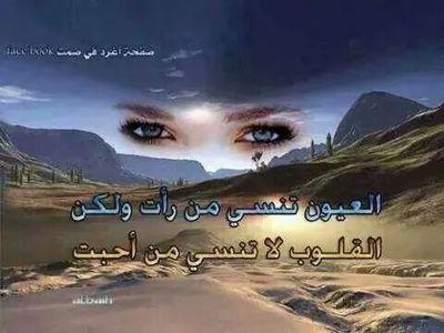 8b81aca65b08468's profile picture. 