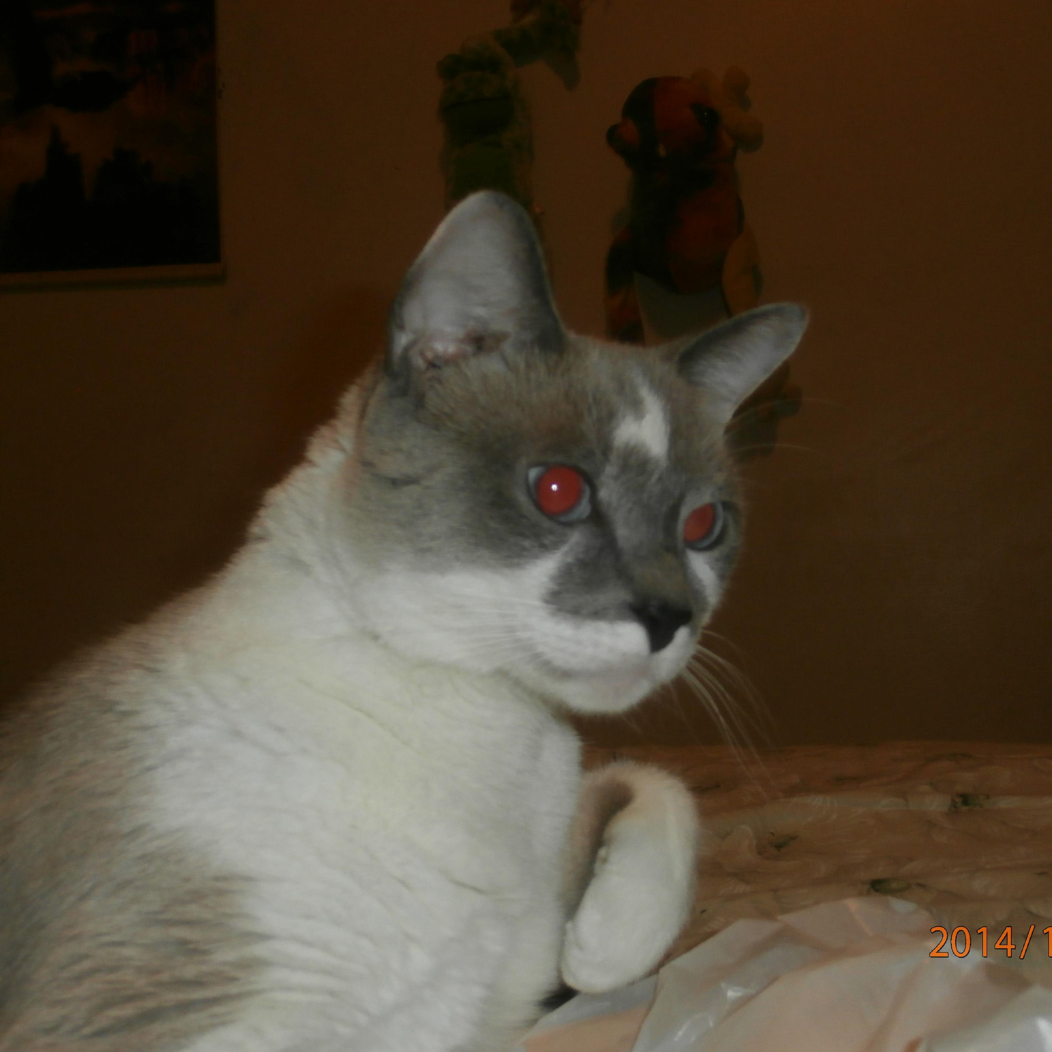 diamondruby9802's profile picture. 