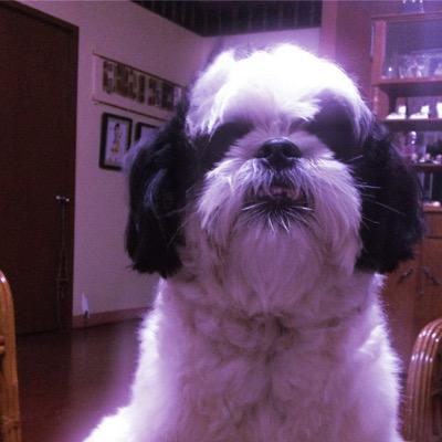 r_robroy's profile picture. 