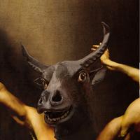 Animal Religion (@animalreligion) 's Twitter Profile
